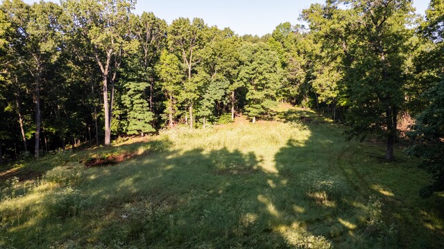 0000 Farm Rd Unit 1090, Washburn, MO 65772 - photo 24