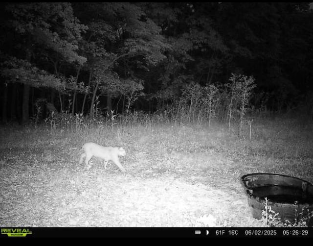 0000 Farm Rd Unit 1090, Washburn, MO 65772 - photo 109