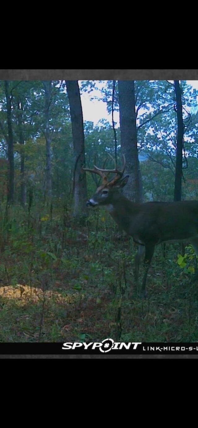 0000 Farm Rd Unit 1090, Washburn, MO 65772 - photo 107