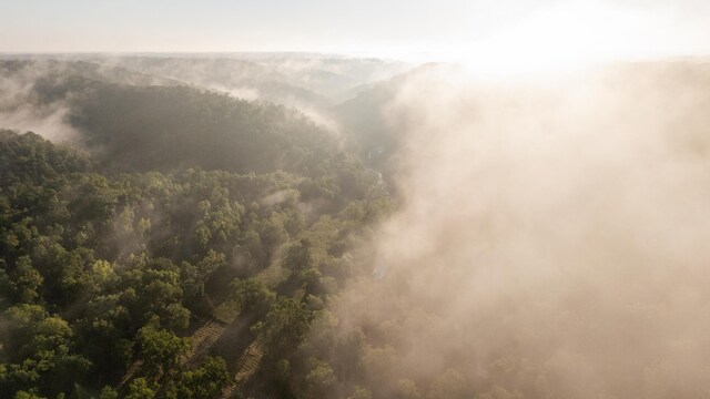 0000 Farm Rd Unit 1090, Washburn, MO 65772 - photo 36