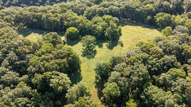 0000 Farm Rd Unit 1090, Washburn, MO 65772 - photo 4