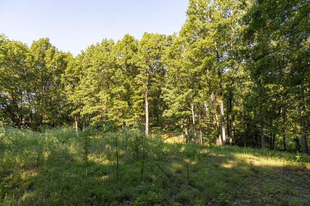 0000 Farm Rd Unit 1090, Washburn, MO 65772 - photo 65