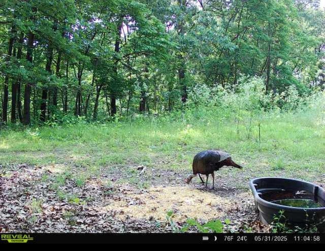 0000 Farm Rd Unit 1090, Washburn, MO 65772 - photo 110