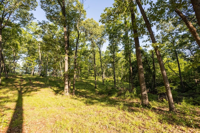 0000 Farm Rd Unit 1090, Washburn, MO 65772 - photo 62