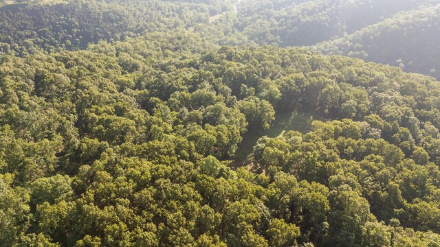 0000 Farm Rd Unit 1090, Washburn, MO 65772 - photo 8