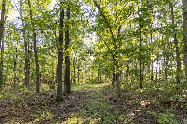 0000 Farm Rd Unit 1090, Washburn, MO 65772 - photo 69