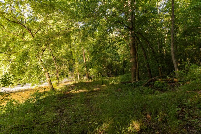 0000 Farm Rd Unit 1090, Washburn, MO 65772 - photo 83
