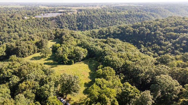 0000 Farm Rd Unit 1090, Washburn, MO 65772 - photo 6
