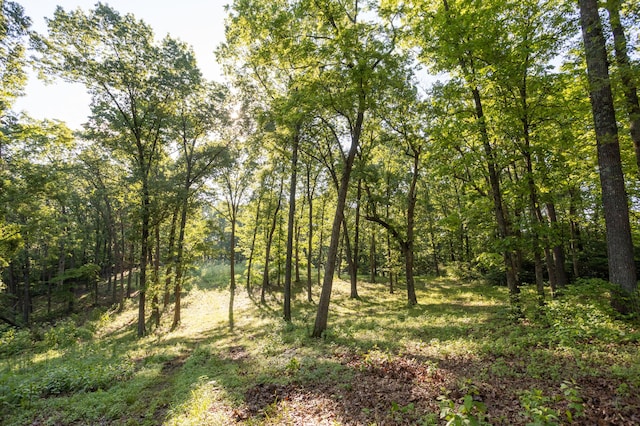 0000 Farm Rd Unit 1090, Washburn, MO 65772 - photo 60