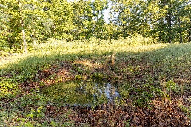 0000 Farm Rd Unit 1090, Washburn, MO 65772 - photo 68