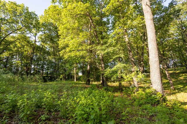 0000 Farm Rd Unit 1090, Washburn, MO 65772 - photo 63