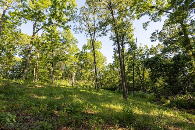 0000 Farm Rd Unit 1090, Washburn, MO 65772 - photo 61