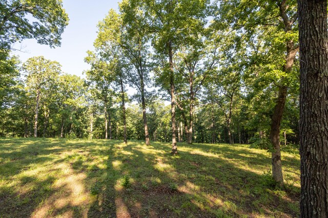0000 Farm Rd Unit 1090, Washburn, MO 65772 - photo 58