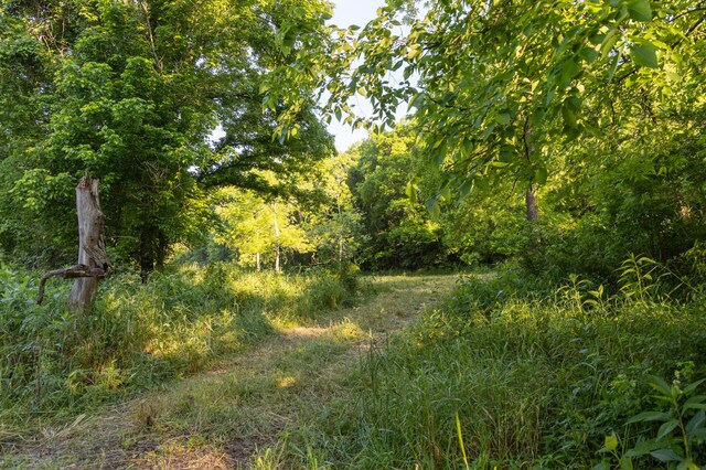0000 Farm Rd Unit 1090, Washburn, MO 65772 - photo 88