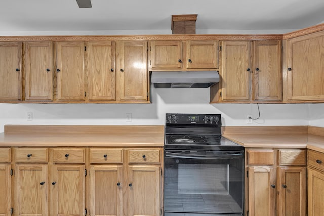 875-883 State Route T, West Plains, MO 65775 - kitchen with black / electric stove, under cabinet range hood, and light countertops