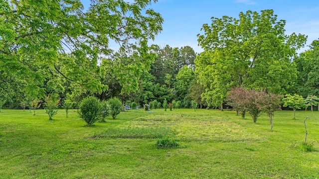 875-883 State Route T, West Plains, MO 65775 - view of grassy yard
