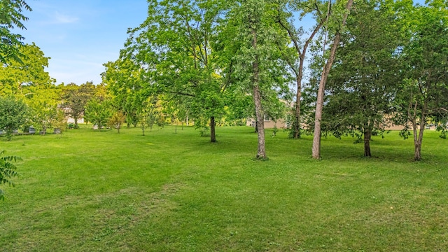 875-883 State Route T, West Plains, MO 65775 - view of grassy yard