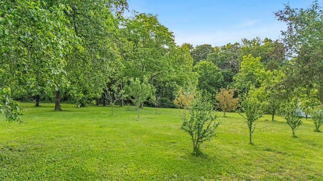 875-883 State Route T, West Plains, MO 65775 - view of grassy yard