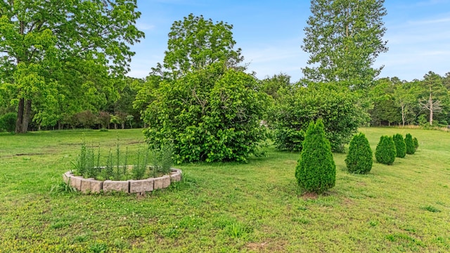 875-883 State Route T, West Plains, MO 65775 - view of green lawn with a view of trees