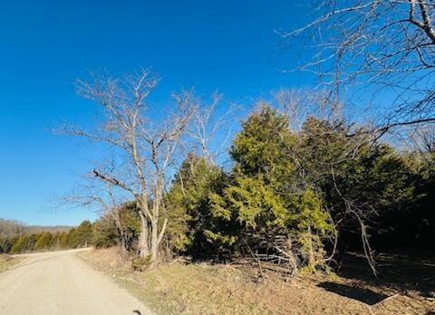 000 Depot Rd, Fordland, MO 65652