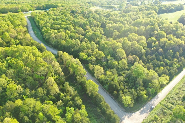000 Depot Rd, Fordland, MO 65652
