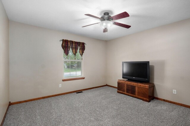 308 Park Cir, Sparta, MO 65753 - photo 23