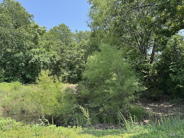 10623 State Highway O, Ava, MO 65608 - view of woods