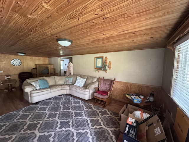 10623 State Highway O, Ava, MO 65608 - living room featuring wooden ceiling, wooden walls, and wood finished floors