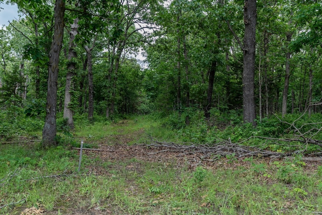 1501 NE 775th Rd, Osceola, MO 64776 - view of woods