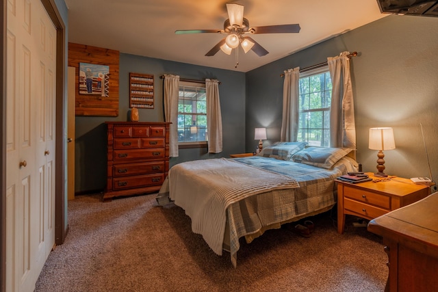 1501 NE 775th Rd, Osceola, MO 64776 - bedroom featuring carpet, multiple windows, and a closet