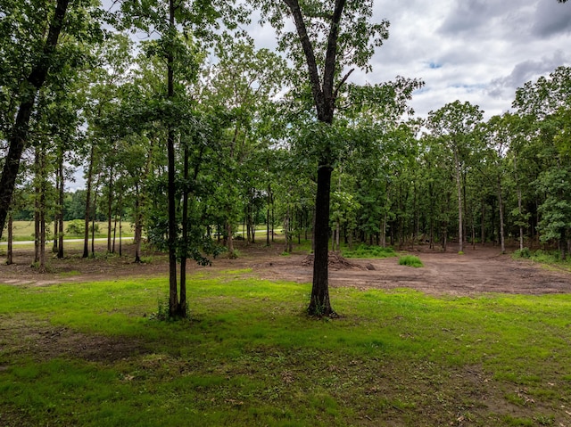 1501 NE 775th Rd, Osceola, MO 64776 - view of yard
