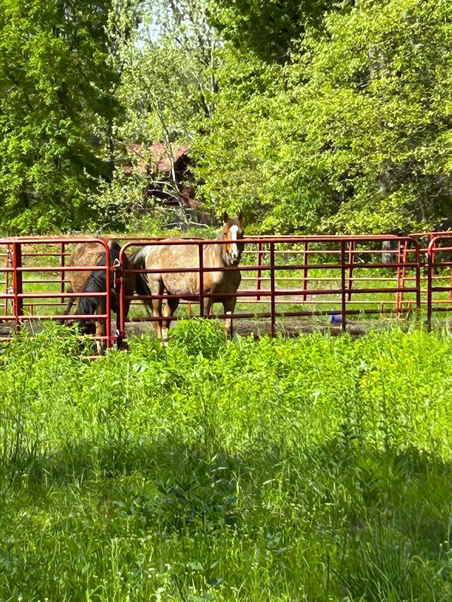 1501 NE 775th Rd, Osceola, MO 64776 - view of gate