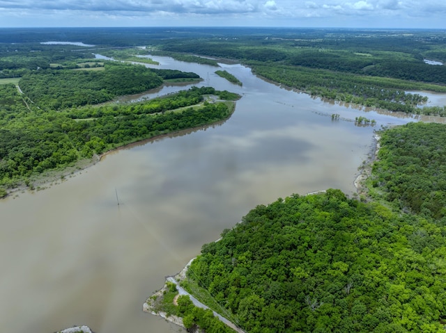 1501 NE 775th Rd, Osceola, MO 64776 - drone / aerial view of a forest and a nearby body of water