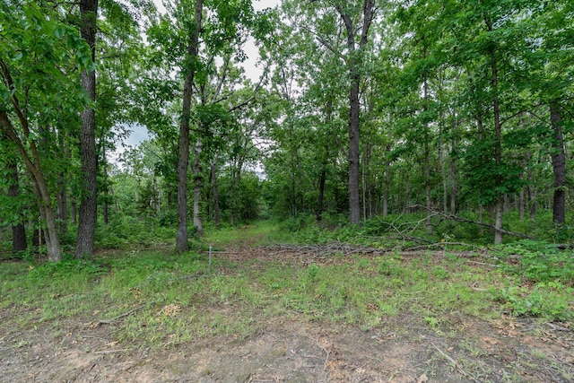 1501 NE 775th Rd, Osceola, MO 64776 - view of tree filled area