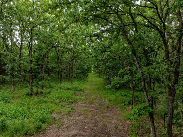 1501 NE 775th Rd, Osceola, MO 64776 - view of woods