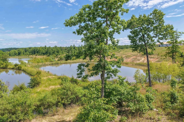 3600 Steven Dr, Cabool, MO 65689 - water view
