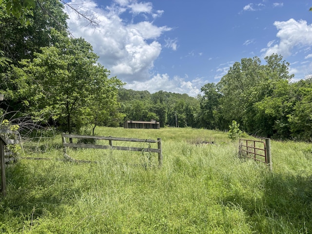 1063 County Road 527, Gainesville, MO 65655 - photo 15