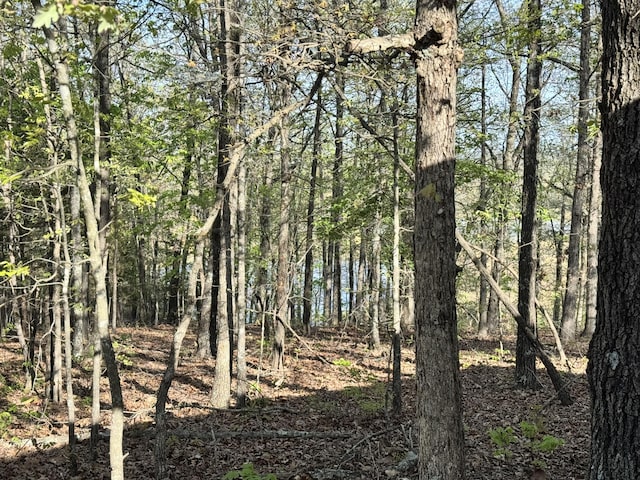 000 Steven Dr, Cabool, MO 65689 - view of wooded area