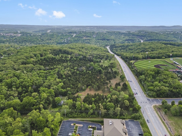 900 James F Epps Rd, Branson, MO 65616 - photo 10