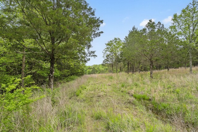 900 James F Epps Rd, Branson, MO 65616 - photo 14