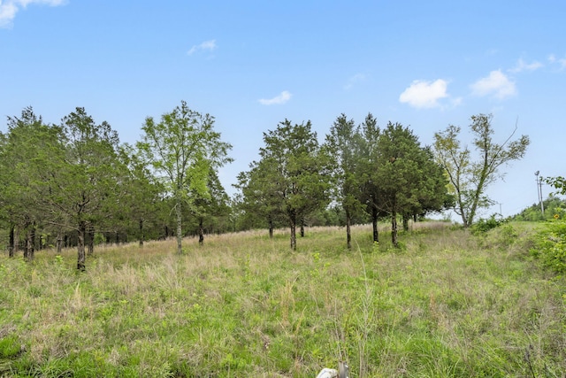 900 James F Epps Rd, Branson, MO 65616 - photo 15