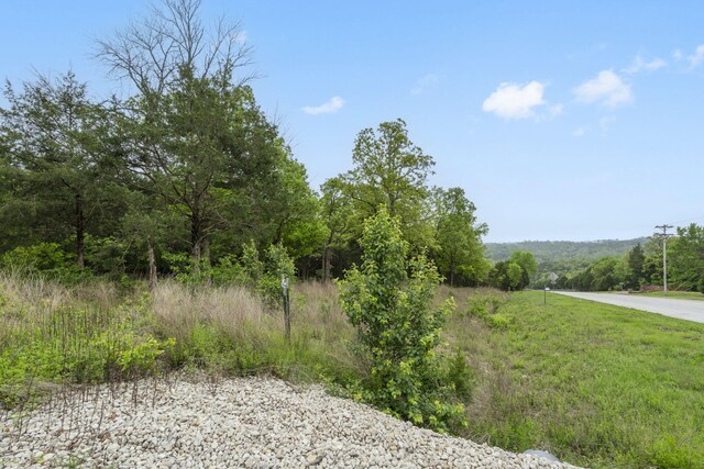 900 James F Epps Rd, Branson, MO 65616 - photo 16