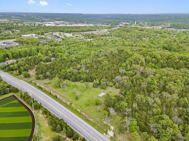 900 James F Epps Rd, Branson, MO 65616 - photo 5