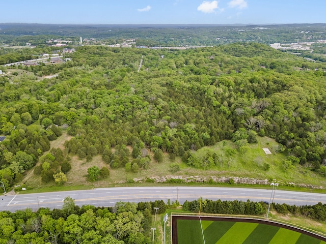 900 James F Epps Rd, Branson, MO 65616 - photo 7