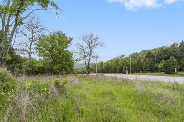 900 James F Epps Rd, Branson, MO 65616 - photo 22