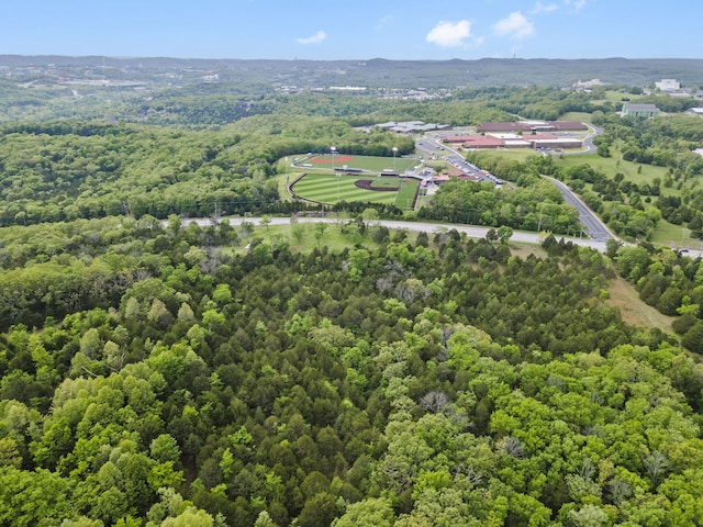 900 James F Epps Rd, Branson, MO 65616 - photo 12