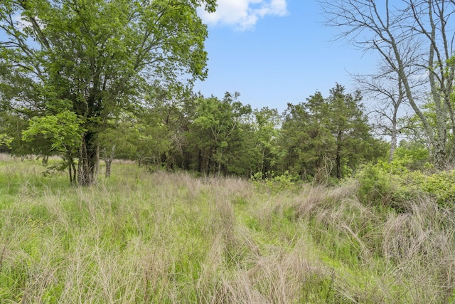 900 James F Epps Rd, Branson, MO 65616 - photo 23