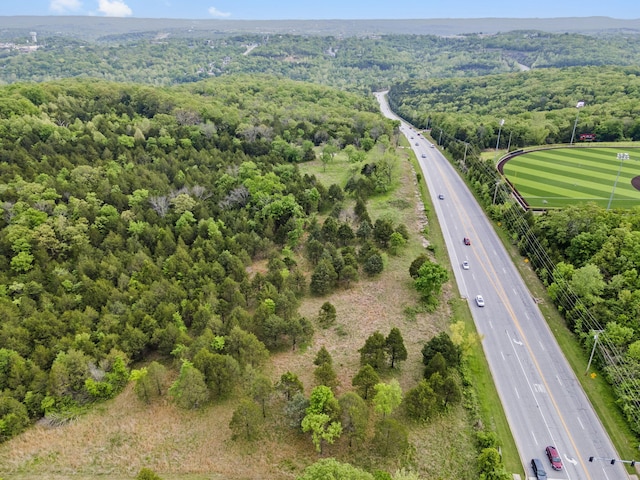 900 James F Epps Rd, Branson, MO 65616 - photo 2