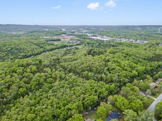 900 James F Epps Rd, Branson, MO 65616 - photo 24