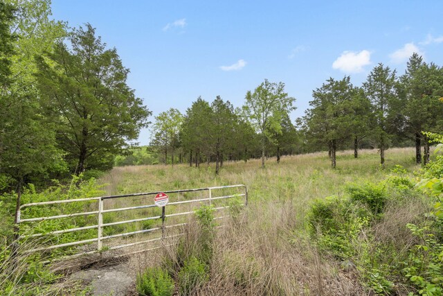 900 James F Epps Rd, Branson, MO 65616 - photo 13